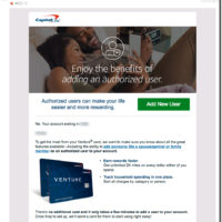 Credit/Debit Card UX: Authorizing a New Card User