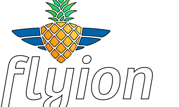 Flyion