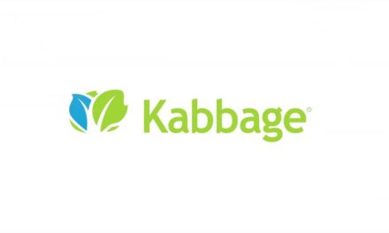 SMB Lenders: Kabbage Continues to Cook Under American Express Ownership